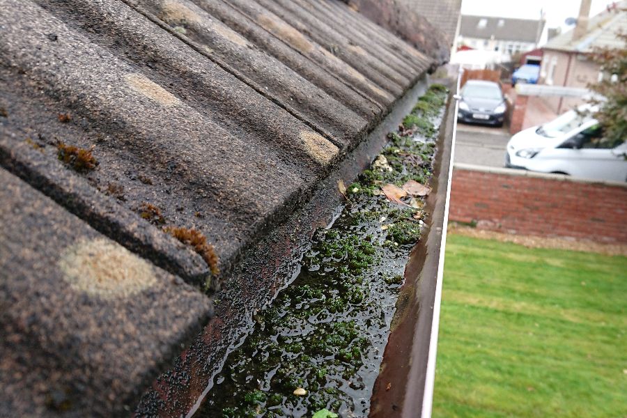 Gutter Cleaning in Prestwick, South Ayrshire